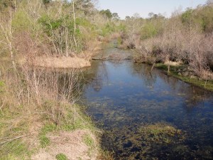 RG a natural bayou