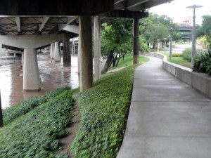 RG buffalo bayou 2