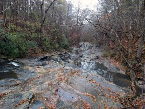 RG proctor creek 3