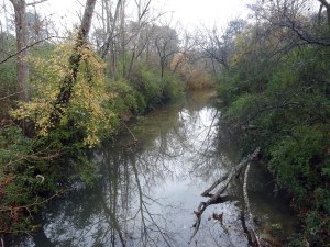 RG proctor creek 4