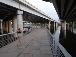 lady bird boardwalk 1
