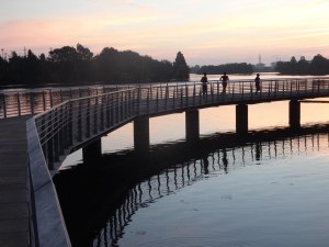 lady bird boardwalk 2