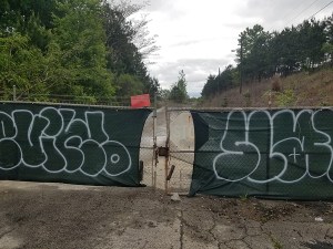 The cut trees are not visible from Crown’s gate on Moreland Avenue