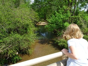 The South River at Moreland Avenue